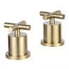 JTP Solex Brushed Brass Deck Mounted Panel Valves (Pair) -Bath Taps Shop 66809BBR P